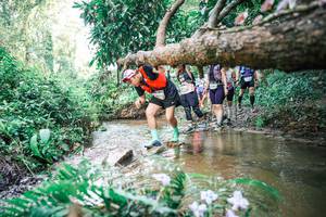 BIB: 
                            <button type="button" onclick="openModal(25478704)" class="btn btn-primary btn-sm float-right btn-popup" data-toggle="modal" data-target=".modal-high-quality">
                        <i class="fas fa-shopping-cart"></i> Add to Cart
                    </button>
                                            <button type="button" onclick="isThisMe(25478704, true)" class="btn btn-success btn-sm float-right btn-popup btn-isme hidden" data-toggle="tooltip" data-placement="bottom" title="นี่คือรูปของคุณใช่ไหม คลิกที่นี่เพื่อเอาเข้าอัลบั้ม">
                        <i class="fas fa-plus"></i> Add to album
                    </button>
                    <button type="button" onclick="isThisMe(25478704, false)" class="btn btn-warning btn-sm float-right btn-popup btn-isnotme hidden">
                        <i class="fas fa-ban"></i> Remove from album
                    </button>